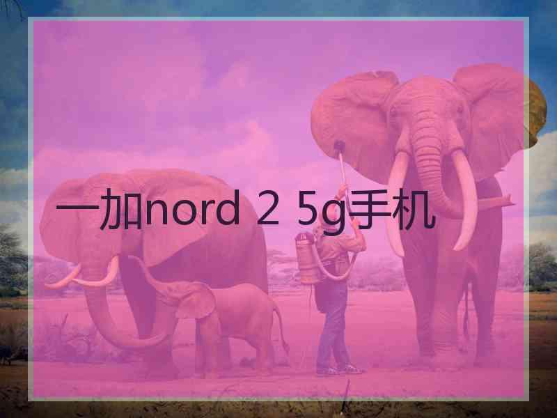 一加nord 2 5g手机